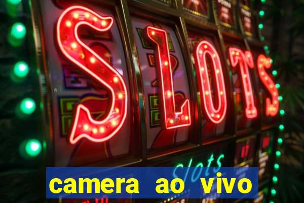 camera ao vivo porto rico